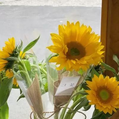 火狐体育APP下载手机版截图